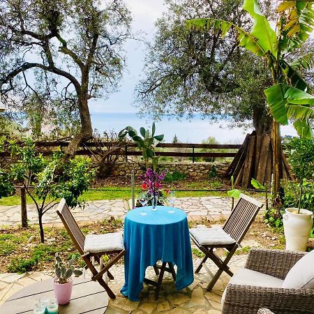Olives Terrace B2A5 Apartment Dhërmi Kültér fotó