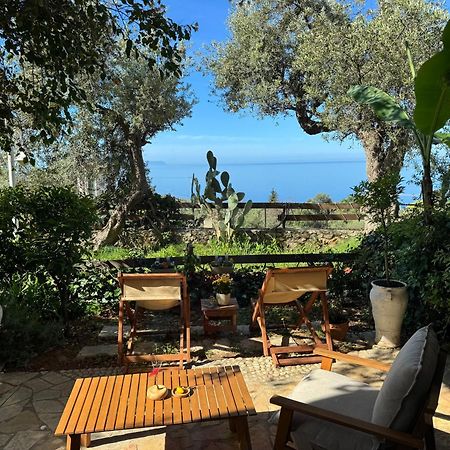 Olives Terrace B2A5 Apartment Dhërmi Kültér fotó