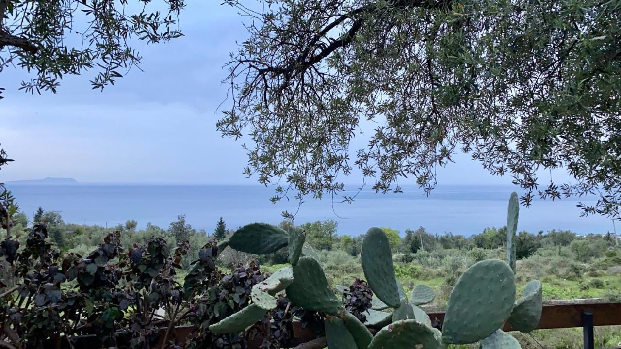 Olives Terrace B2A5 Apartment Dhërmi Kültér fotó